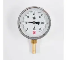 Pakkens 1004020205 | Bimetal Termometr Ø100mm 0/+120°C Arka G1/2"B