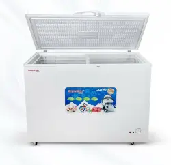 SUPERMAX BD-380F | Giň göwrümli sowadyjy kamera