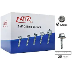 PA/TA 153.09.S02.S02.P01.63025 | Özüni Burawlaýan Şurup 6.3x25 mm 250 sanylyk gaplama