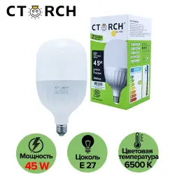CTORCH 153.09.E01.L01.CTORCH045 | LED Bulb E27 45W 6500K Daylight