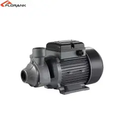 Maksat QB-60 B | Water Pump High Flow