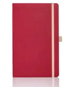 Deli N116L | Depder Gyzyl Berk Tikiliş
