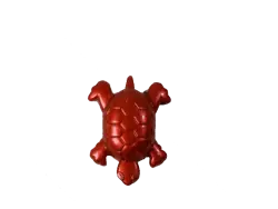 Turtle Toy