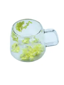 MS MS-11 | Transparent Mug with Flowers Double Wall Insulated Glass