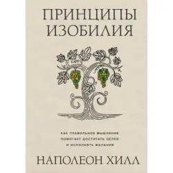 Principles of Abundance BK-00101806 | Business Book Russian Edition