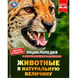 Умка BK-00101604 | Детская энциклопедия Животные в натуральную величину