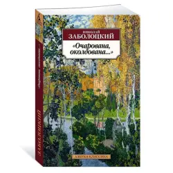 Заболоцкий Н. BK-00081032 | Книга Русская Классика Быстрая Доставка