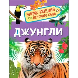 Kluşnik L. W. BK-00100281 | Mekdebe çenli çagalar üçin ensiklopediýa