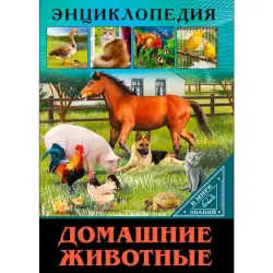 ЭНЦИКЛОПЕДИЯ BK-00100558 | Образовательная книга Домашние животные Русский