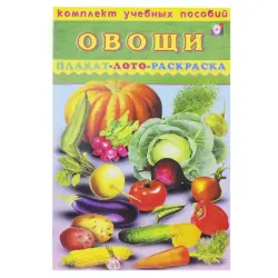Комплект учебных пособий Овощи BK-00028937 | Çagalar üçin okuw toplumy
