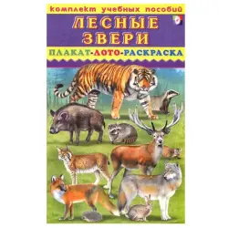 Лесные Звери BK-00028932 | Учебный комплект для школ
