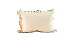 VILLAGE 3120018219 | Cushion Cream Black Modern Design