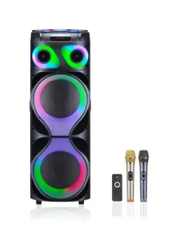 JT JT-1210 | Напольная аудиоколонка 12 дюймов 2 микрофонных входа