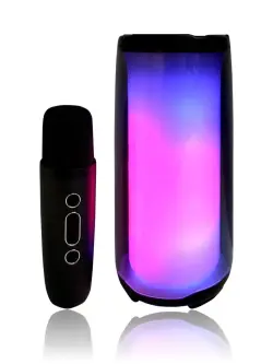 PLUSE PLUSE5MIC | Mikrofonly mini ses gürleýji